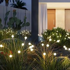 some plants and lights in front of a house