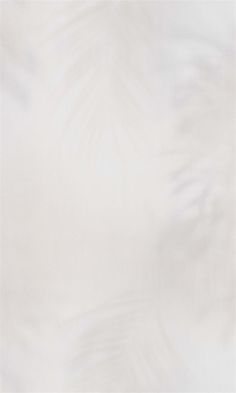 an abstract white background with palm leaves on the left and right side, in soft focus