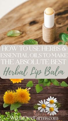 homemade herbal lip balm Herbal Lip Balm