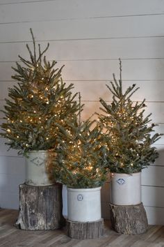 three potted christmas trees sitting on top of a wooden table