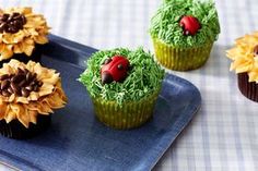 Sunflower Cup, How To Make Sunflower, Cupcake Flower, Sunflower Cupcakes, Ladybug Cupcakes, Vanilla Bean Cupcakes, Anna Olson, Cupcake Decorations, Fruit Salads