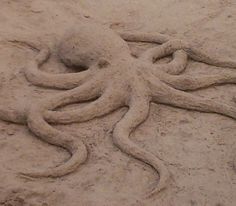 an octopus made out of sand on the beach