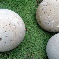 three large rocks sitting on top of green grass next to each other in the ground