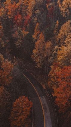 an aerial view of a road surrounded by trees in the fall with orange and yellow leaves