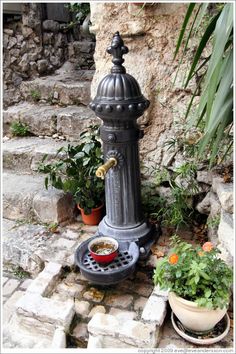 a fire hydrant sitting next to some potted plants