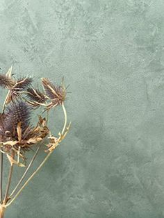 dried flowers against a green wall in front of it