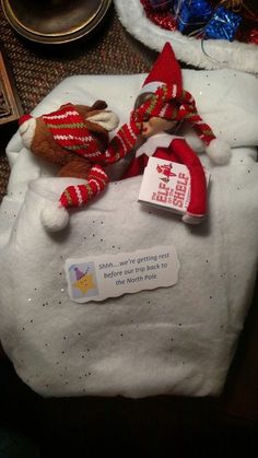 two stuffed animals are laying on top of a white blanket with red and green christmas decorations