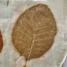 a piece of cloth with a leaf drawn on it