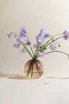 a vase with purple flowers in it sitting on a table