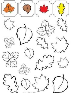 fall leaves and acorns worksheet for toddlers to practice their counting skills