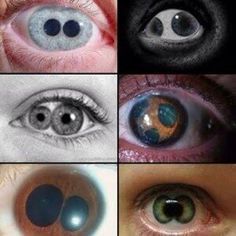 an image of different colored eyes