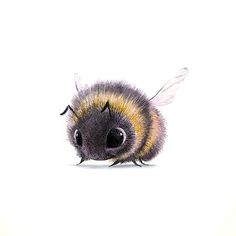 a close up of a bee on a white background with one eye open and the other half closed