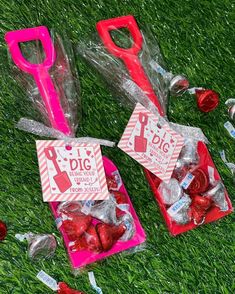 valentine's day candy in bags on the grass with pink scissors and tags attached to them