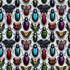 many different colored bugs on a white background