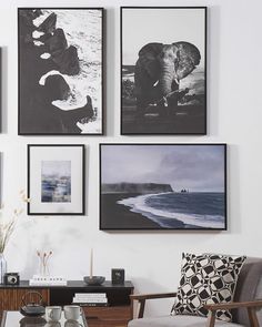 a living room with pictures on the wall and an elephant in the ocean behind it