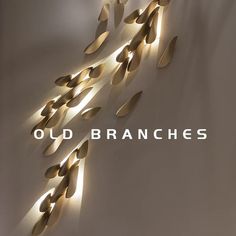 the words old branches are lit up against a white wall