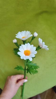 a person holding flowers in their hand on a green cloth covered tablecloth with white and yellow daisies