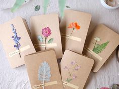 six notebooks with pressed flowers on them sitting on a table next to a plant