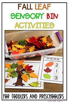 fall leaf sensory bin activities for toddlers and preschoolers to practice their counting skills