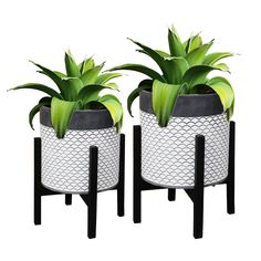 two black and white planters with green plants in them