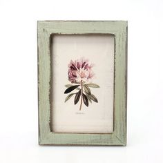 a pink flower in a green frame on a white background