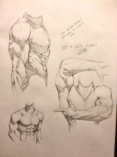 some drawings of different muscles on paper