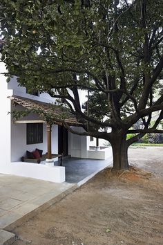 a white house with a tree in front of it