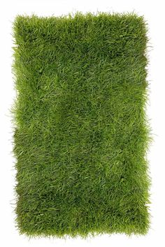 an image of grass that is very green