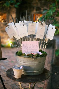 a potted plant with lots of sticks sticking out of it's centerpiece