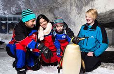 three people and a penguin are posing for a photo in front of an ice cave