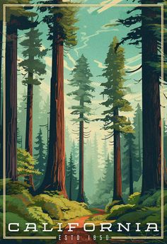 Giant redwood trees with a small trail going through them. Blue skies with just a few thin clouds. The word California is the title located in the bottom of the image Nature Poster Design Illustration, National Parks Prints, California Vintage Poster, Redwood Forest Illustration, National Parks Vintage, Vintage Landscape Illustration, Redwood Forest Art, California Poster Aesthetic, Vintage National Parks Posters