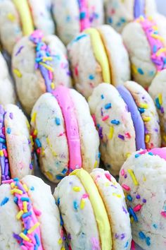 colorful sprinkles and frosted cookies are arranged in rows