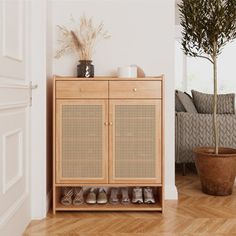 a wooden cabinet with shoes on it next to a potted plant and couch in the background