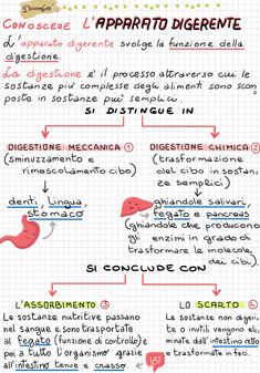 a handwritten diagram with different types of writing in spanish and english, including the words