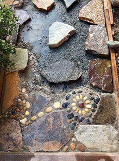 a small garden with rocks and plants in the center, along with other stones on the ground