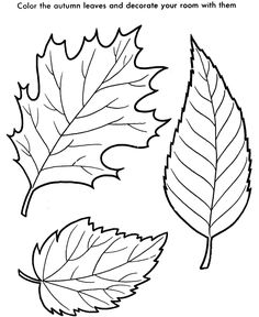 the coloring page for autumn leaves is shown in black and white, which includes two different colors