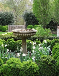 a fountain in the middle of a garden surrounded by trees and bushes with white flowers