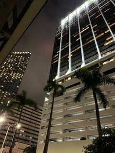 tall buildings lit up at night with palm trees in the foreground