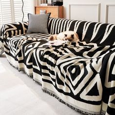 a cat laying on top of a black and white couch