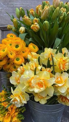 yellow and orange flowers are sitting in a bucket on the ground next to each other