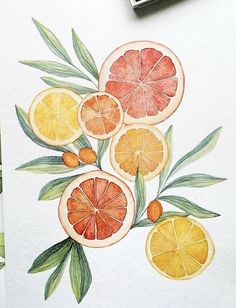 a drawing of oranges and lemons with leaves on top of paper next to a fountain pen