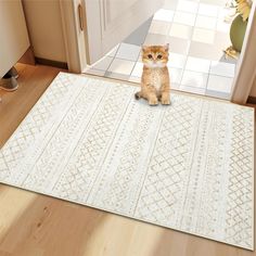 an orange cat sitting on top of a rug in a kitchen next to a door