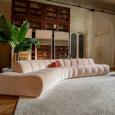 a couch sitting on top of a white rug next to a book shelf filled with books