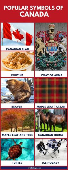 the canadian symbols and their meanings are shown in this poster, which includes images of different countries