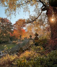 the sun shines brightly on an autumn day