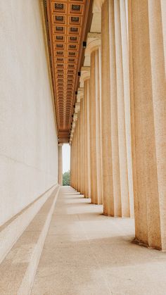 an empty walkway between two large columns with the ceiling in the background and trees on either side