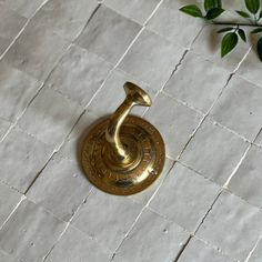 a brass hook on a white tile floor next to a green leafy plant in the background