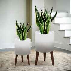 two white planters with green plants in them sitting on top of a carpeted floor