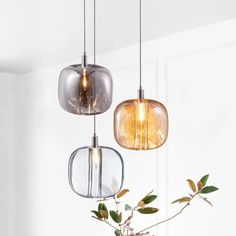 three glass pendant lights hanging from the ceiling above a vase filled with flowers and greenery