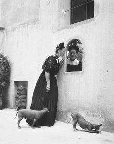 two women standing next to each other in front of a building with dogs and cats